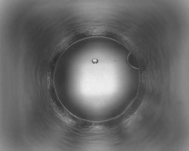 X0000063490741200601201309