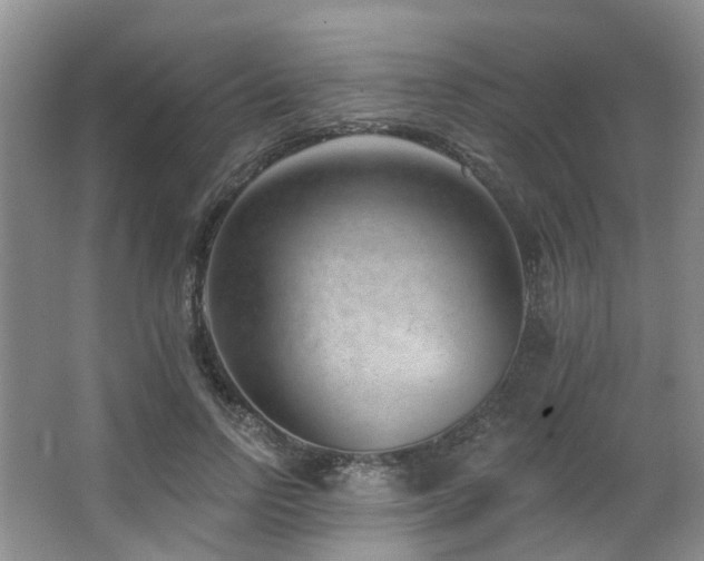 X0000063490742200601201309