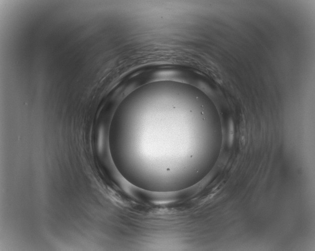 X0000063490750200601201309