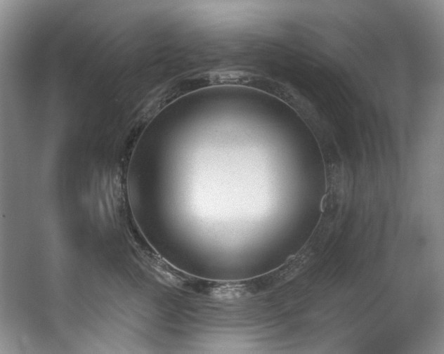 X0000063490761200601201309