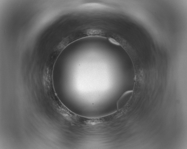 X0000063490763200601201309