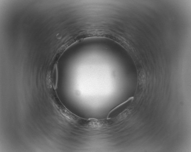 X0000063490764200601201309