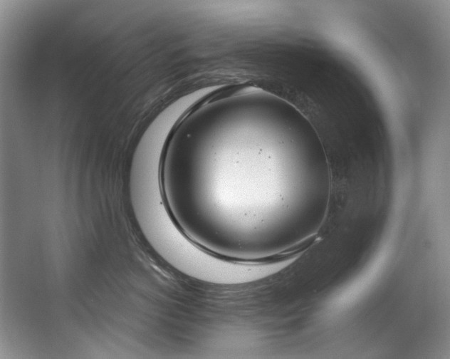 X0000063490766200601201309