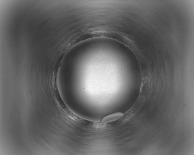 X0000063490767200601201309