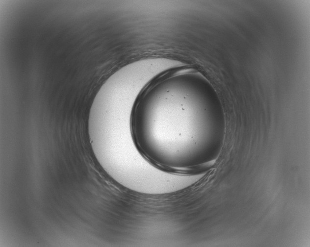 X0000063490768200601201309