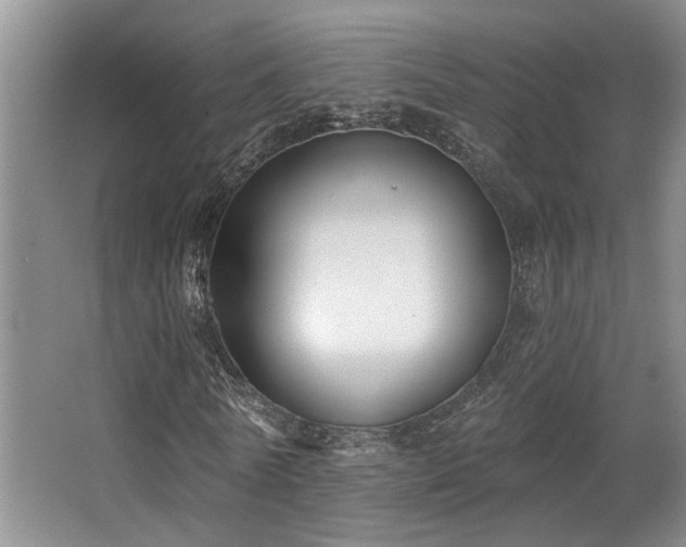 X0000063490770200601201308