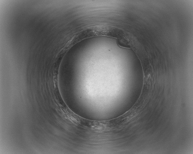 X0000063490772200601201308