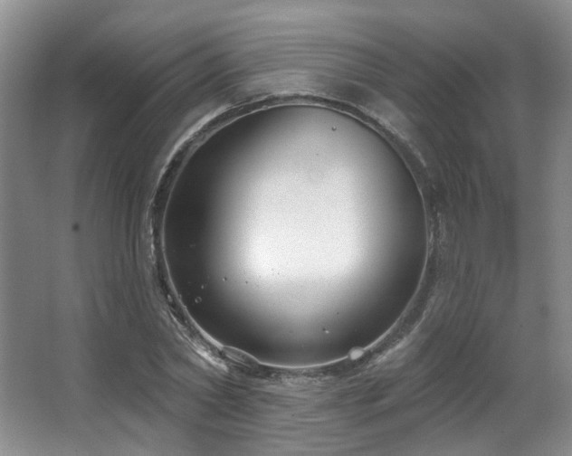 X0000063490782200601201308