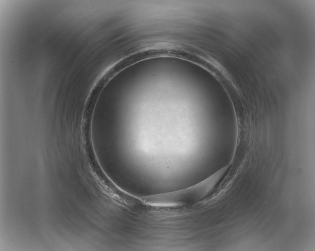 X0000063490783200601201308