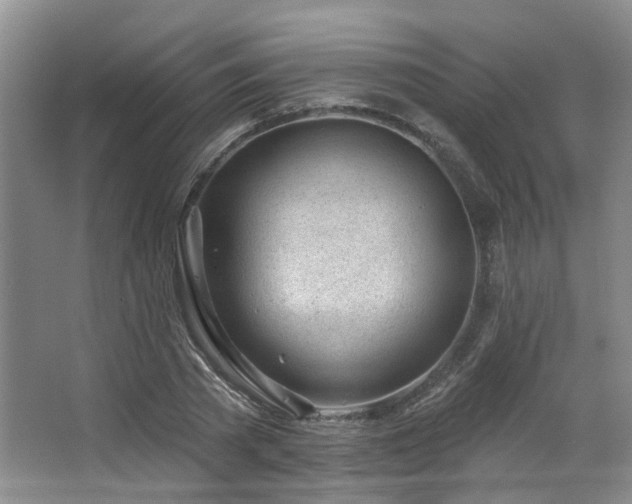 X0000063490785200601201308