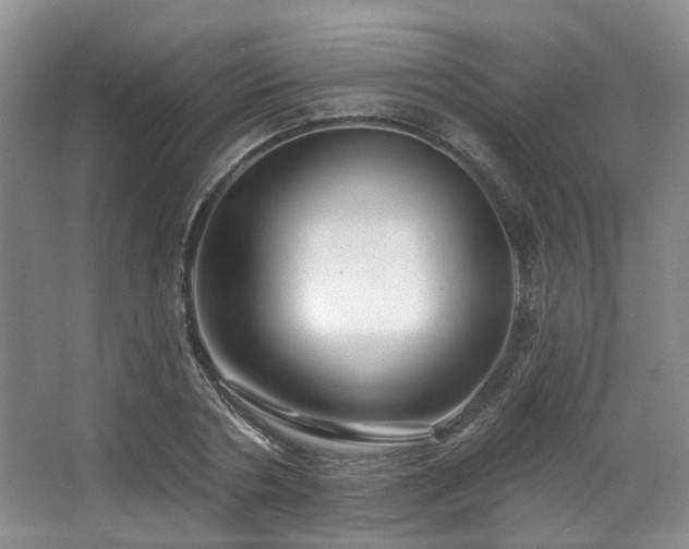 X0000063490786200601201308