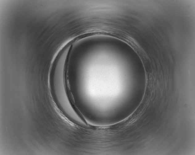 X0000063490788200601201308