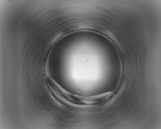 X0000063490793200601201308