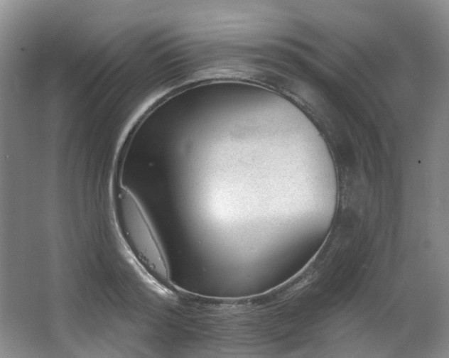 X0000063490796200601201308