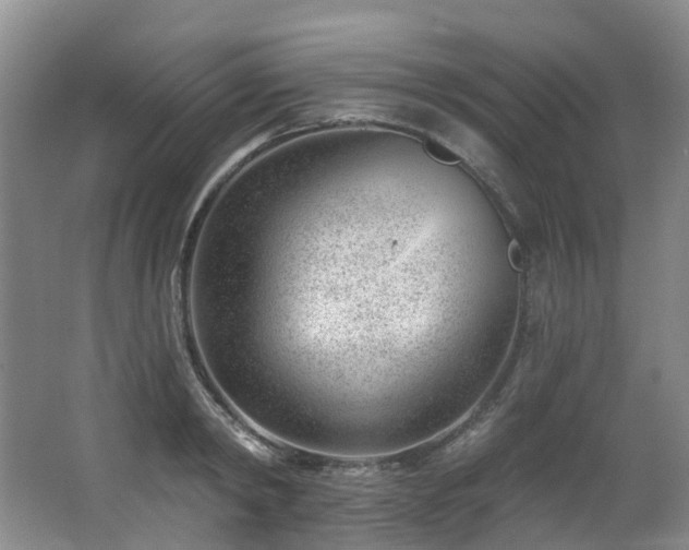 X0000063490798200601201308