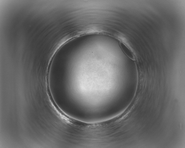 X0000063490810200601201308