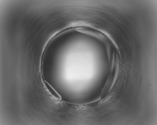 X0000063490815200601201308