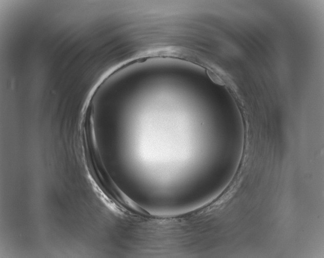 X0000063490816200601201308