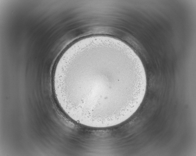 X0000063490836200601201307
