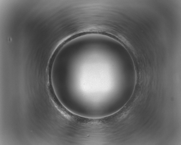 X0000063490838200601201307