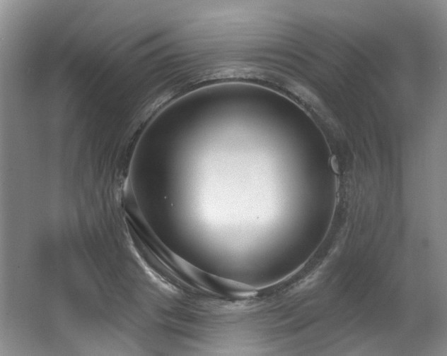 X0000063490841200601201307
