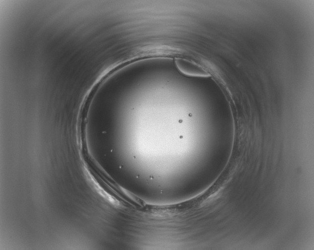 X0000063490843200601201307