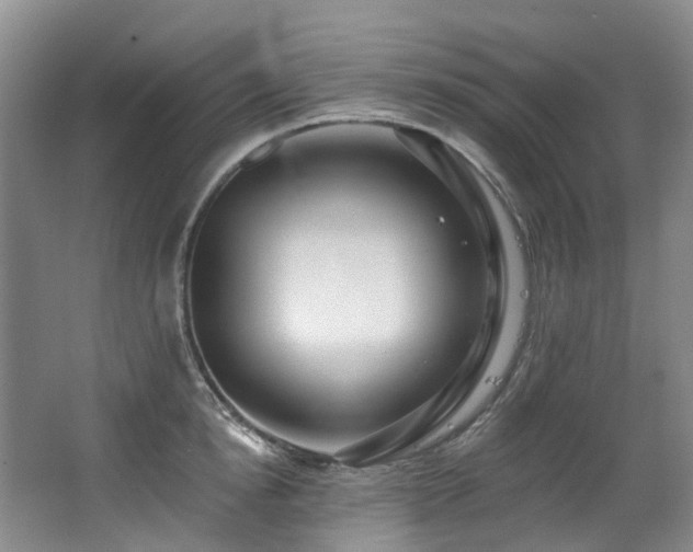 X0000063490854200601201307