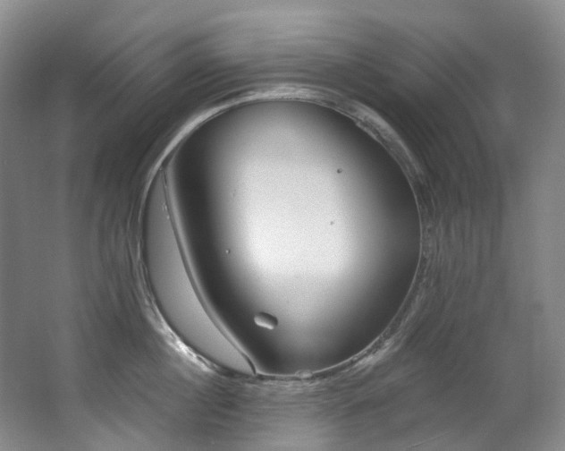 X0000063490860200601201308