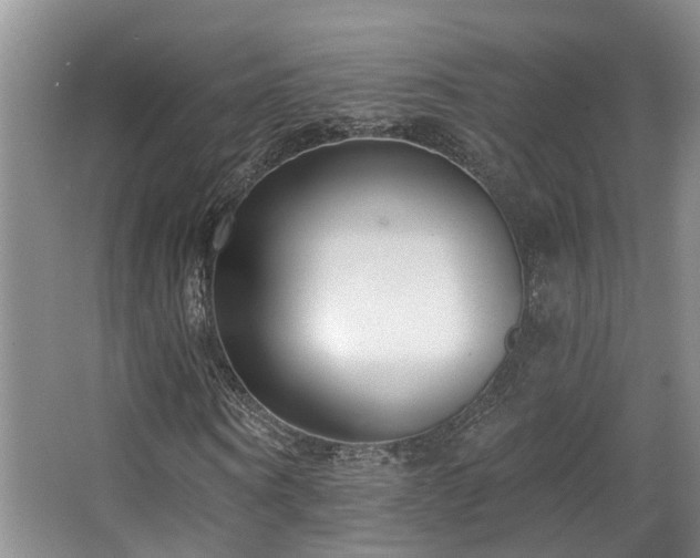X0000063490866200601201307