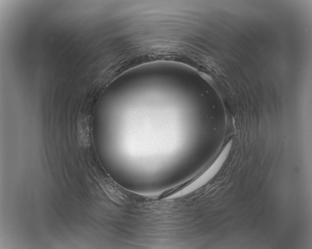 X0000063490868200601201307