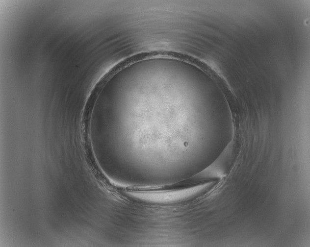 X0000063490879200601201307