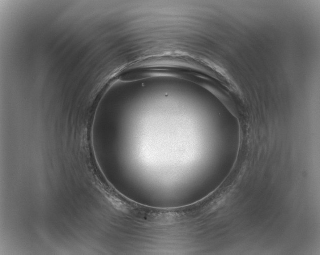 X0000063490881200601201307