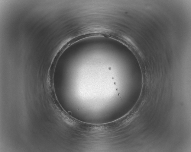 X0000063490883200601201306