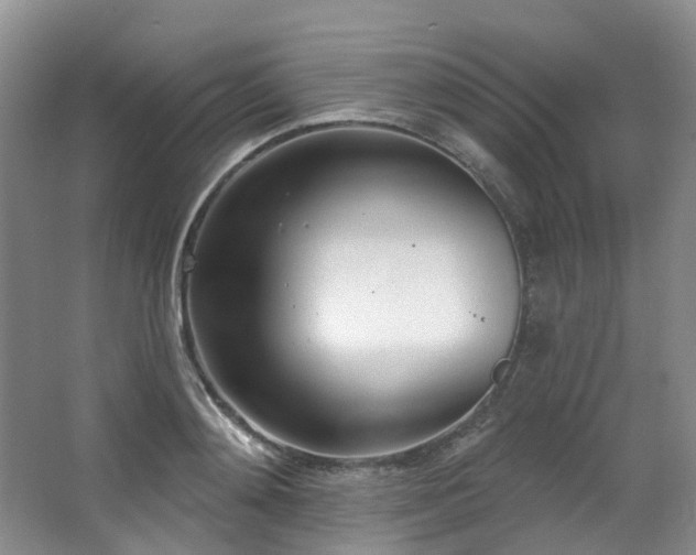 X0000063490892200601201306