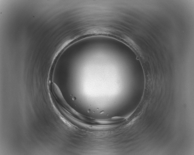 X0000063490893200601201306