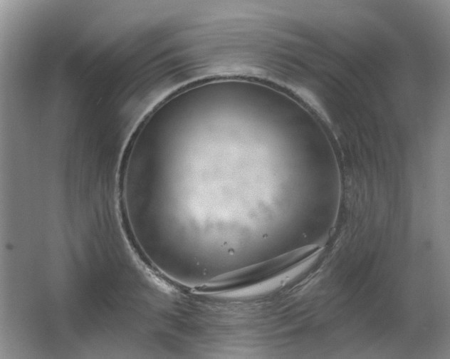 X0000063490895200601201306