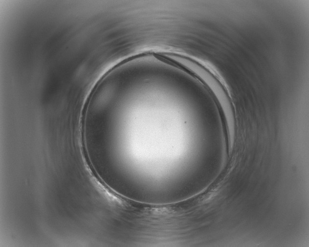 X0000063490903200601201306