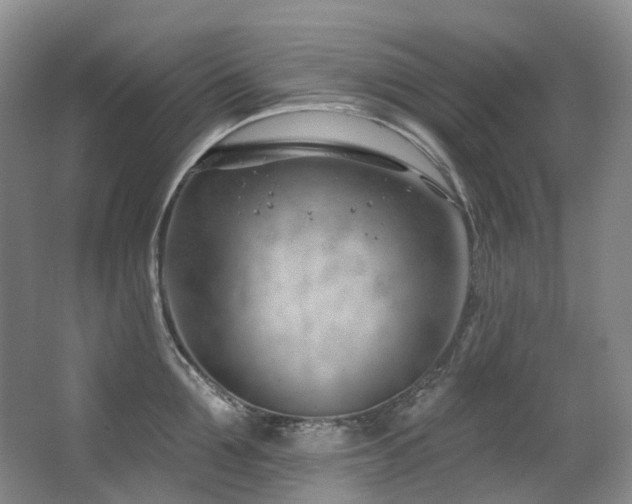 X0000063490907200601201306