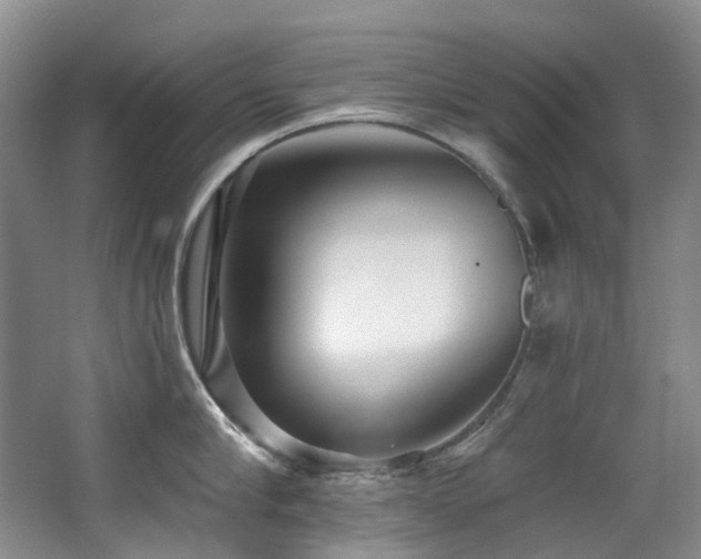 X0000063490910200601201306