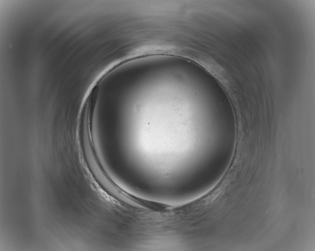 X0000063490912200601201306