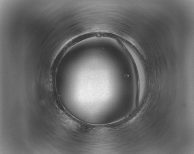 X0000063490926200601201305