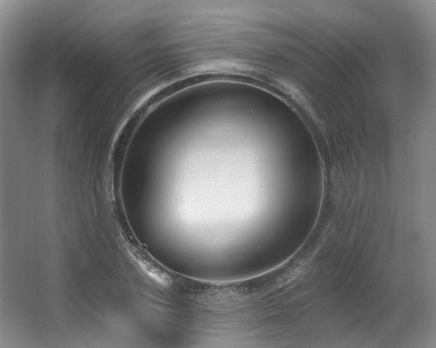 X0000063490931200601201305