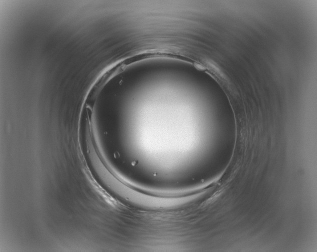 X0000063490940200601201306