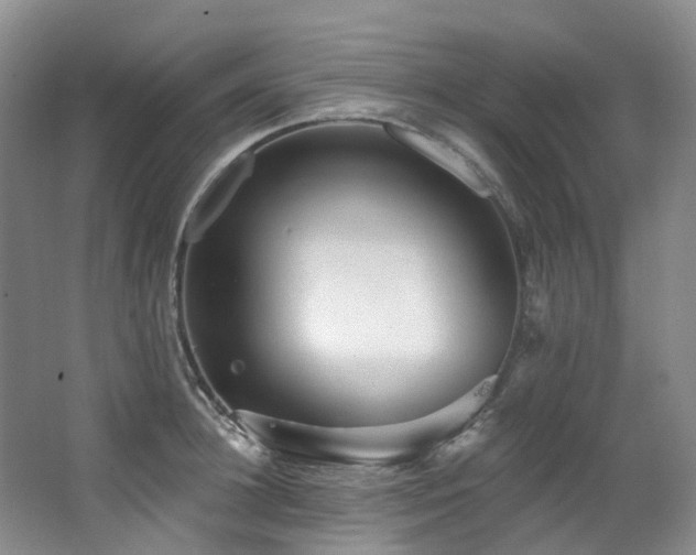 X0000063490948200601201306