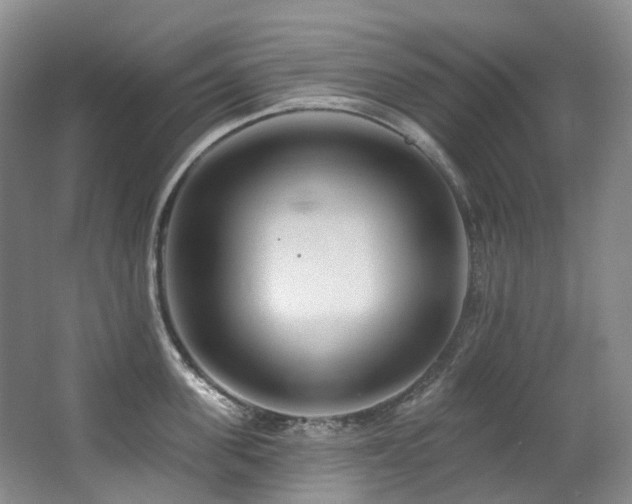 X0000063490955200601201306
