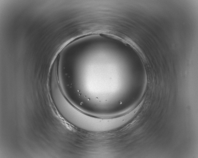 X0000063490956200601201306
