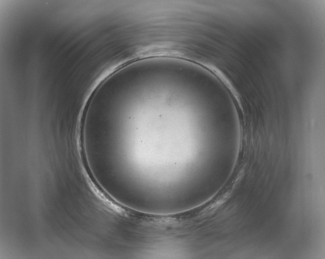 X0000063490957200601201306