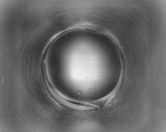 X0000063490960200601201306