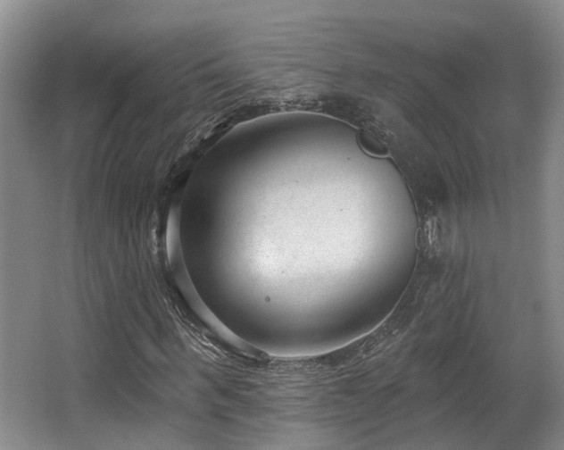 X0000063490963200601201305
