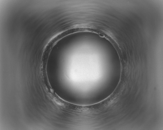 X0000063490971200601201305